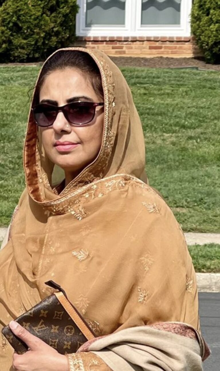 A woman in sunglasses and a brown veil.